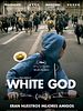 Cartel de White God