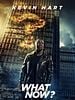 Cartel de Kevin Hart: What Now?