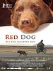 Cartel de Red Dog