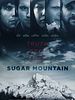 Cartel de Sugar Mountain