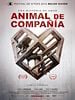 Cartel de Animal de compañía