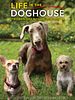 Cartel de Life in the Doghouse