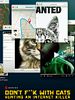 Cartel de A los gatos ni tocarlos: Un asesino en Internet