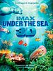 Cartel de Under the Sea