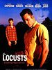 Cartel de The Locusts