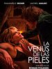 Cartel de La Venus de las pieles