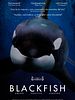 Cartel de Blackfish