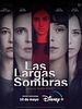 Cartel de Las largas sombras