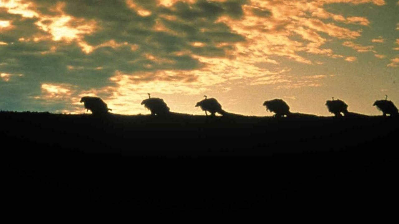 El estudio le pidió cambios a esta mítica película de fantasía y no se fio de que la fueran a estrenar: acabó pagando el estreno de su propio bolsillo El estudio le pidió cambios a esta mítica película de fantasía y no se fio de que la fueran a estrenar: acabó pagando el estreno de su propio bolsillo