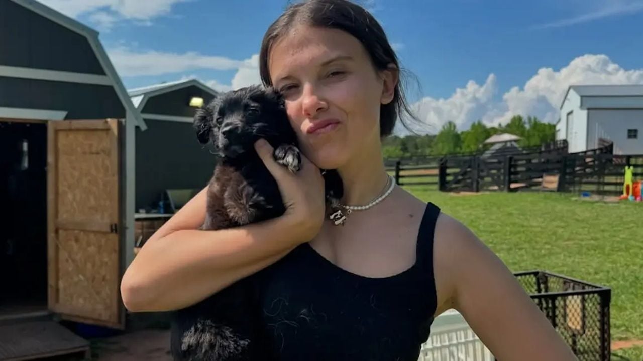 Millie Bobby Brown pasó de una glamurosa vida de Los Ángeles para vivir en una granja "caótica" con Jake Bongiovi. "No lo hago por la estética. Lo hago porque me encanta"