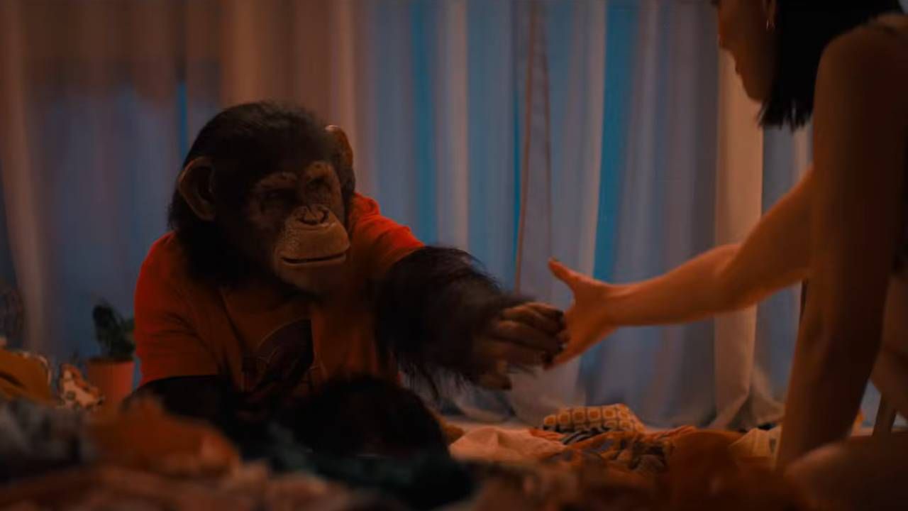 Imagen de 'Primate'