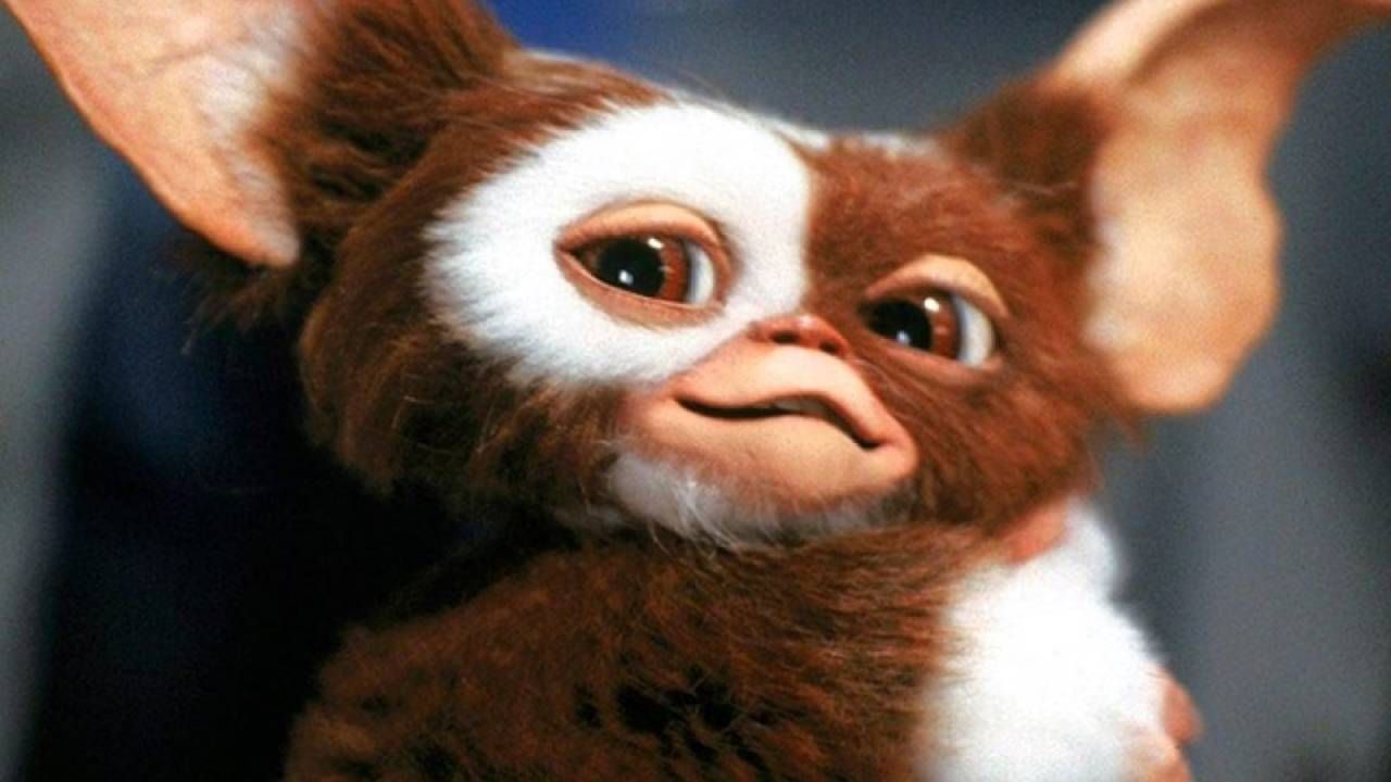 Gizmo en 'Gremlins'