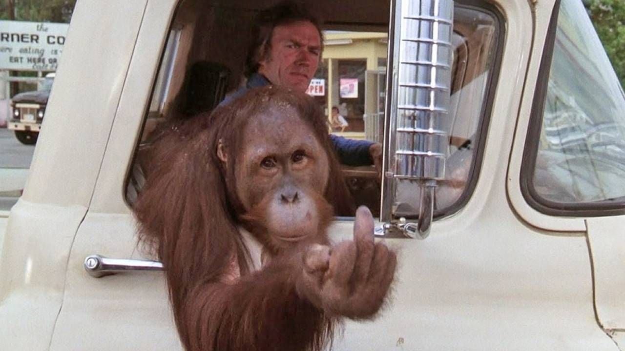 Imagen de 'Duro de pelar'