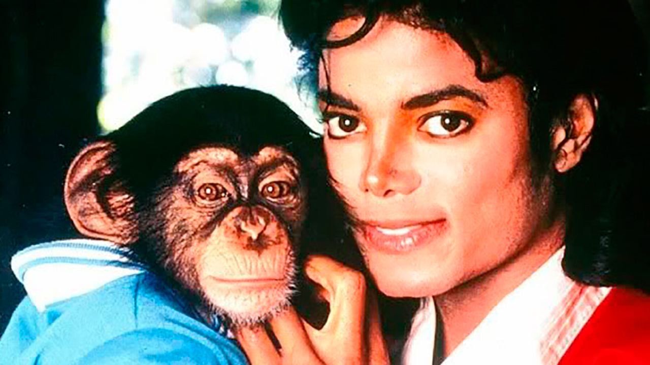 Qué fue de Bubbles, el chimpancé de Michael Jackson que acabó sacando de quicio al mismísimo Freddie Mercury