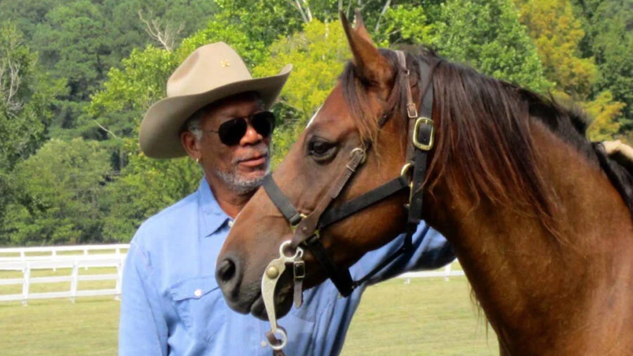 Morgan Freeman tenía 50 hectáreas de terreno y decidió emplearlas para salvar el medio ambiente: transformó un rancho en un santuario
