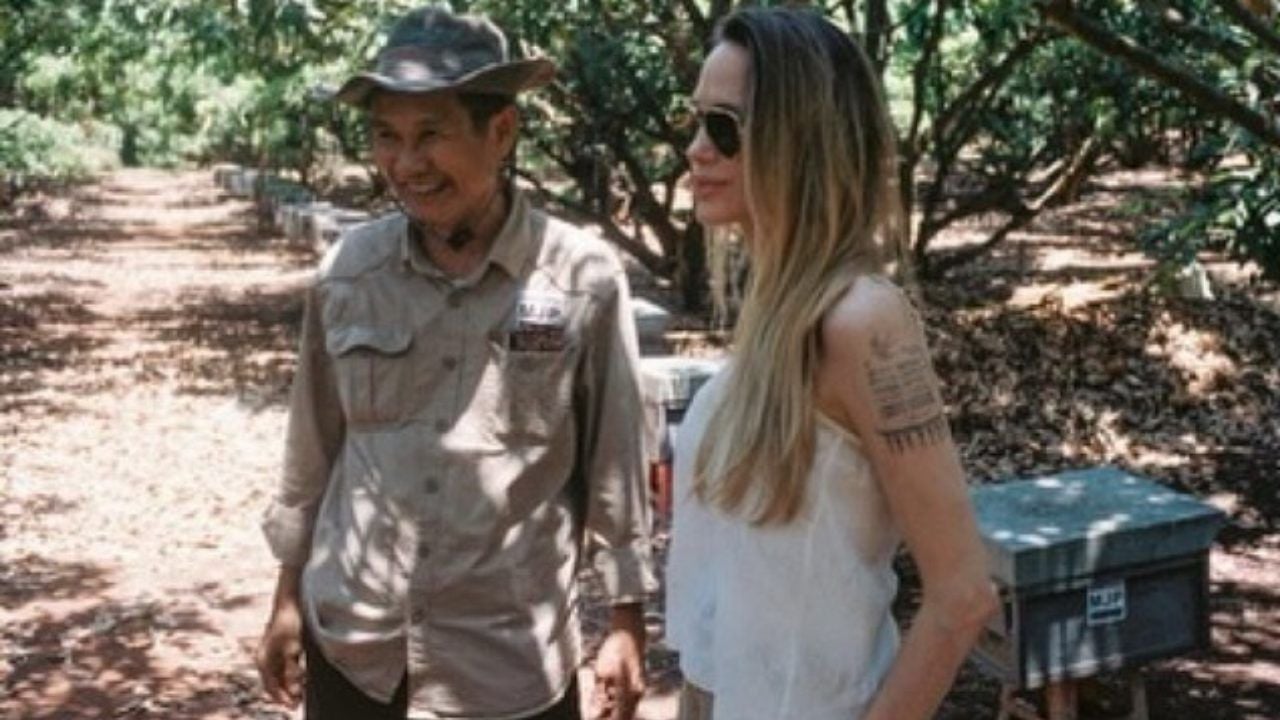 En 2002, Angelina Jolie compró 39 hectáreas de bosque en Camboya: lo convirtió en una reserva y dio trabajo a decenas de personas
