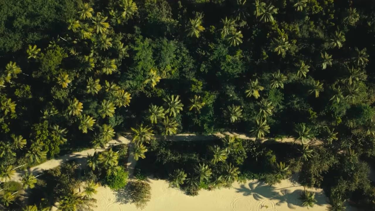 La nueva miniserie de Netflix arrasa en las listas de popularidad: Comienzas y termina en una sola tarde