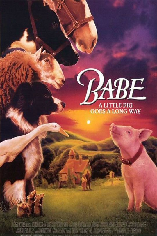Cartel De La Pel cula Babe El Cerdito Valiente Foto 4 Por Un Total Cartel De La Pel cula Babe El Cerdito Valiente Foto 4 Por Un Total