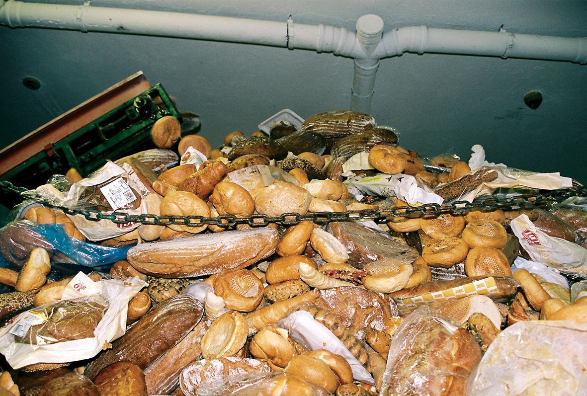 Foto de la película Nosotros alimentamos al mundo - Foto 5 por un total