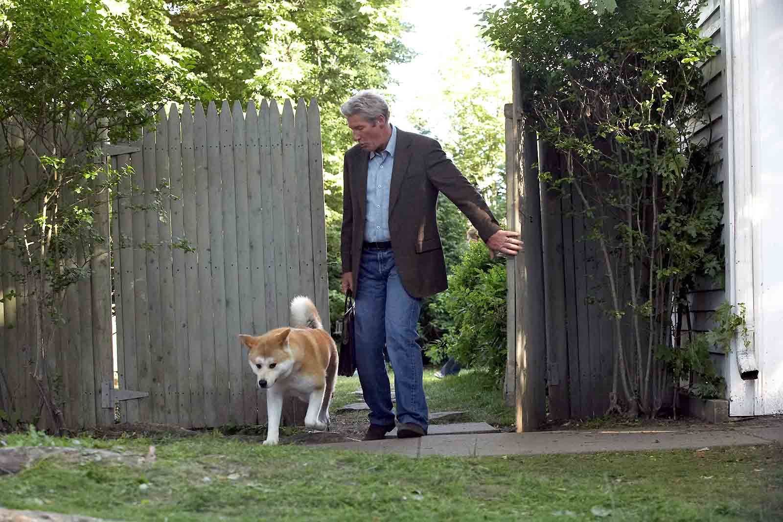 Foto de la película Siempre a tu lado. Hachiko Foto 5 por un total de 50