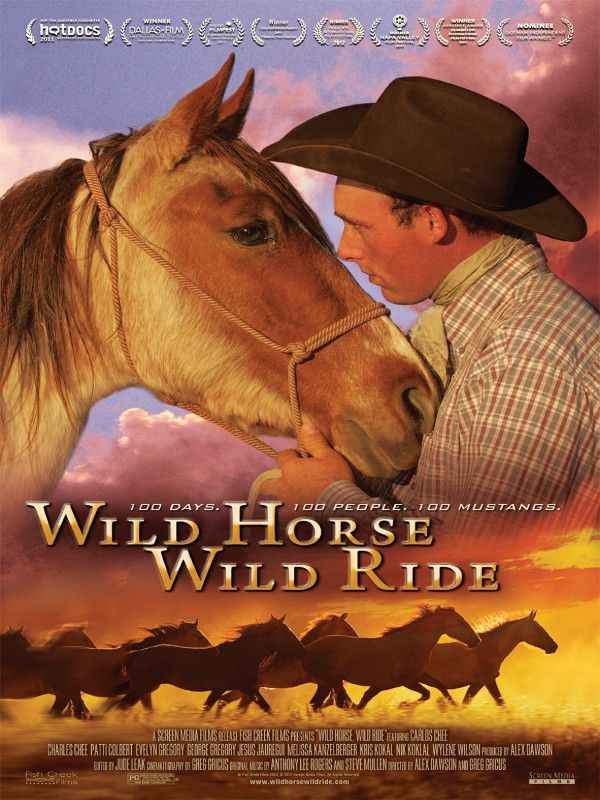Wild Horse, Wild Ride - Documental 2011