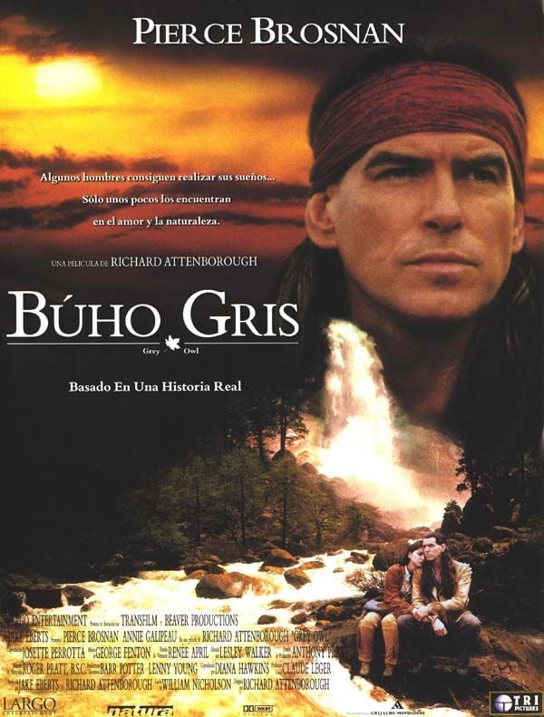 Búho Gris - Película 1999