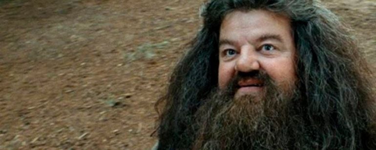 'Harry Potter' ¿Por qué Hagrid no puede producir un