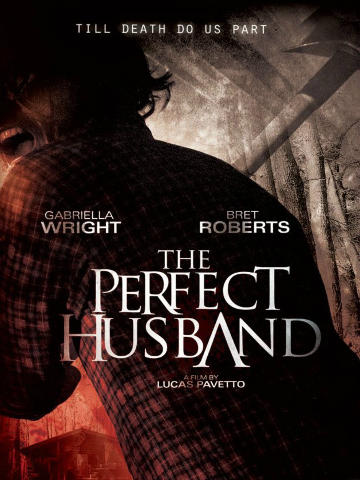 The Perfect Husband - Película 2014