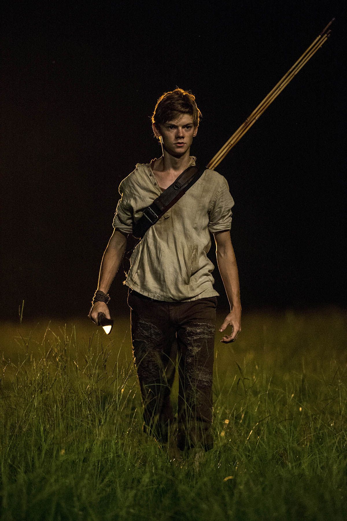 Foto de thomas brodie sangster el corredor del laberinto foto