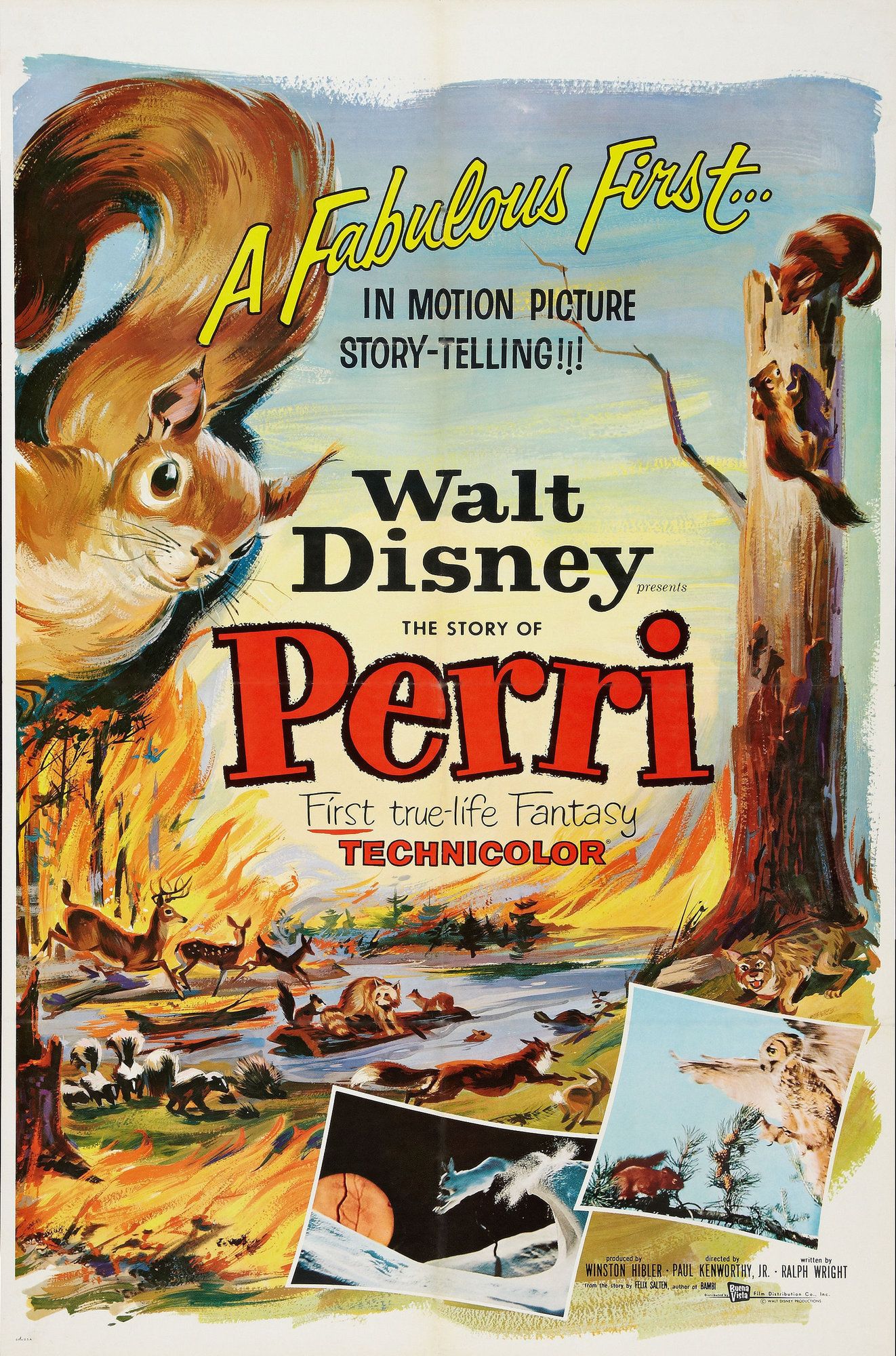 Perri - Película 1957