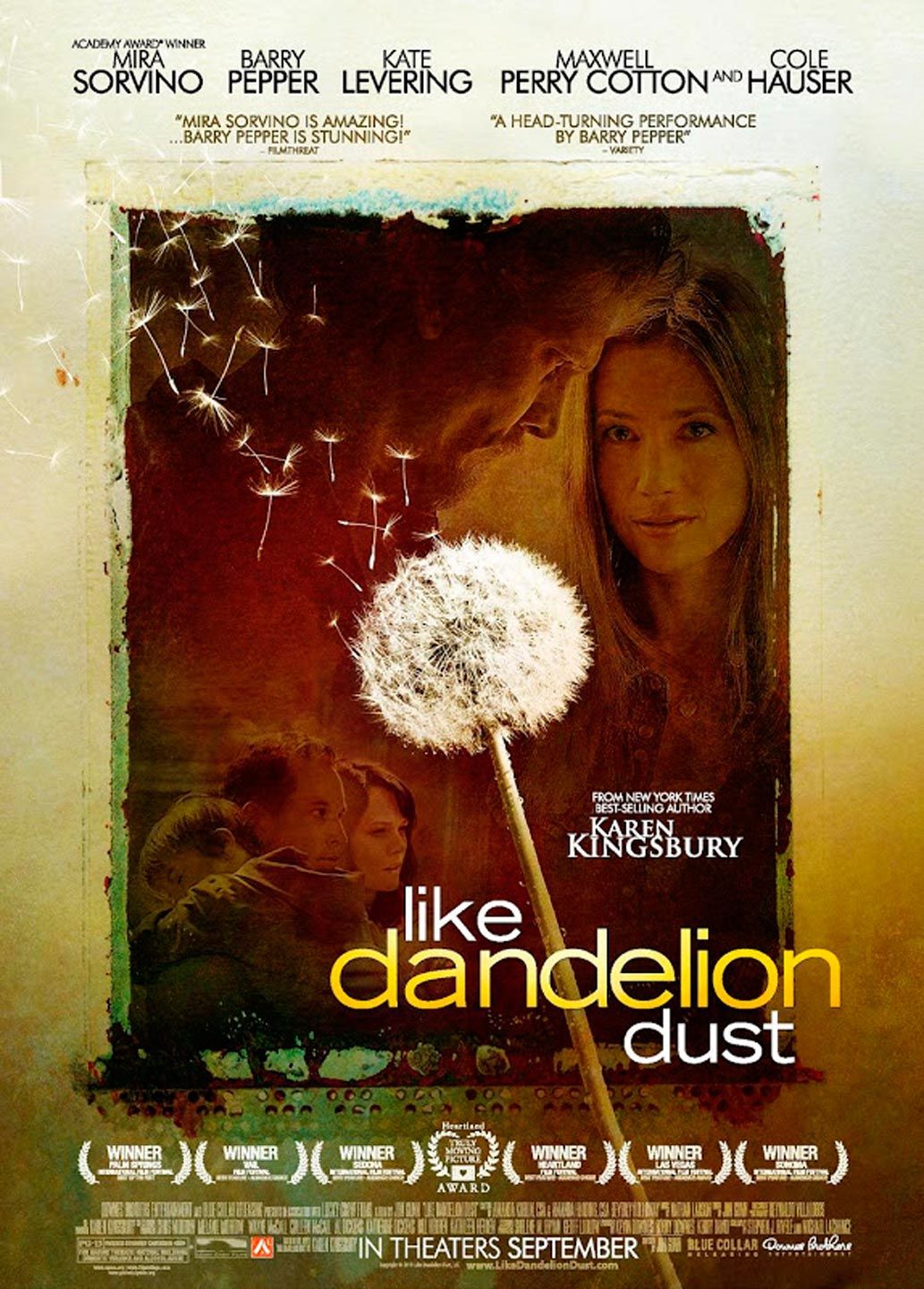 Deseos al viento - Película 2009