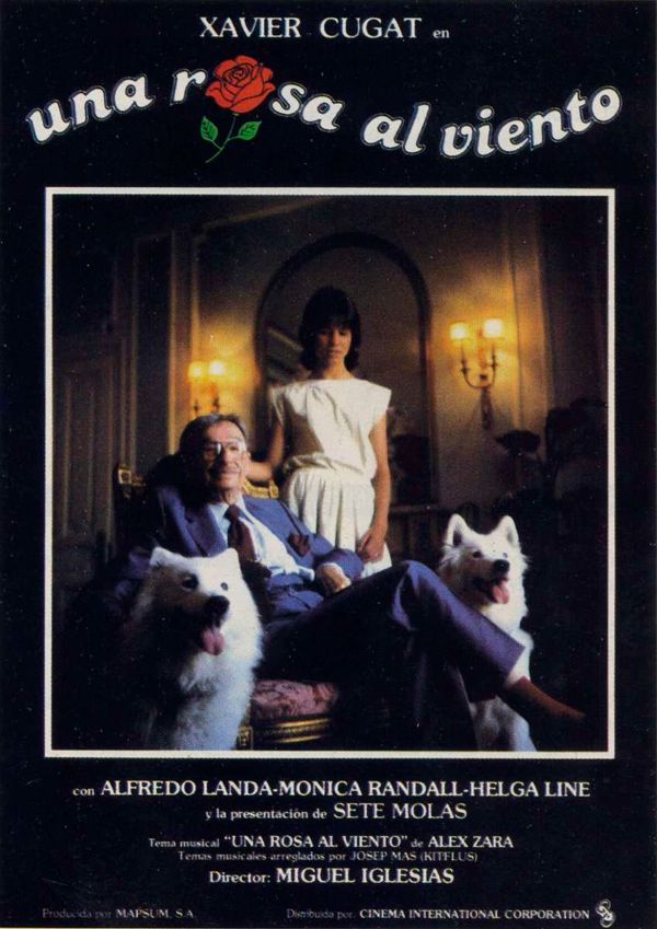 Una rosa al viento - Película 1984