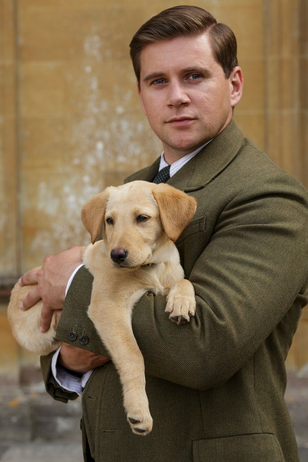 Downton Abbey: Foto Allen Leech - 7 sobre un total de 380 - SensaCine.com