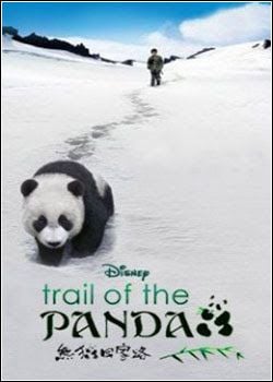 La senda del panda - Película 2009