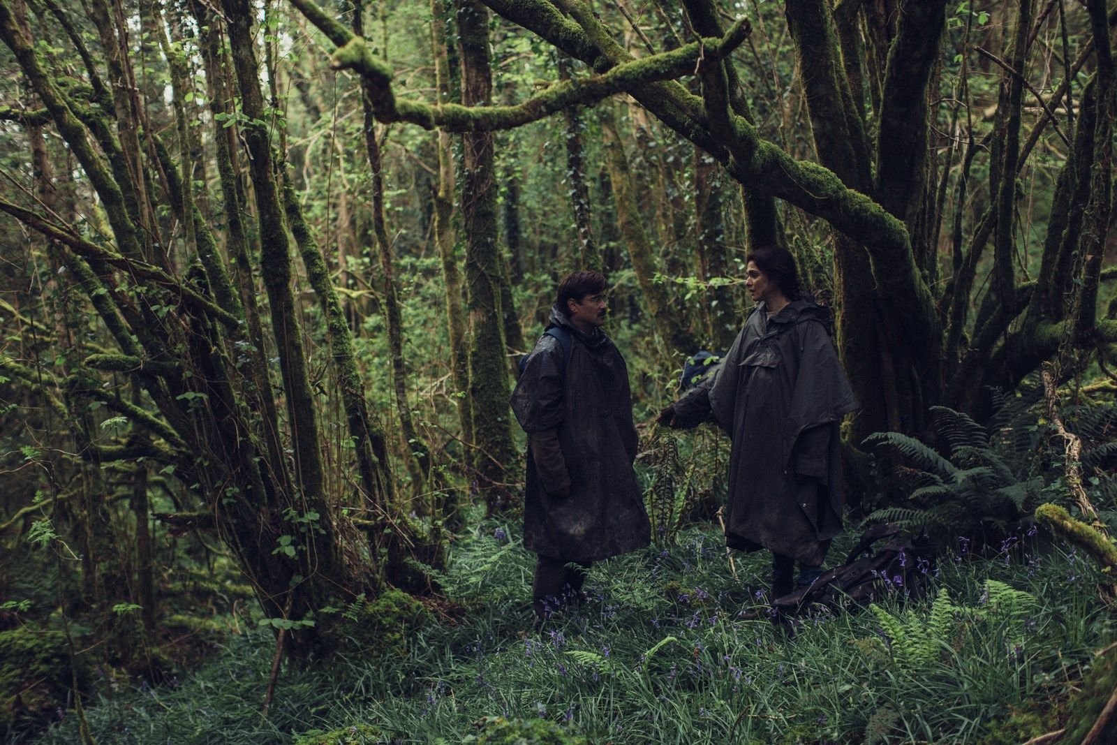 Foto de la película Langosta Foto 15 por un total de 52