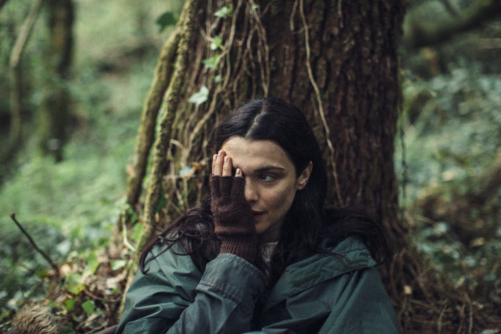 Foto de Langosta Foto 12 sobre 51