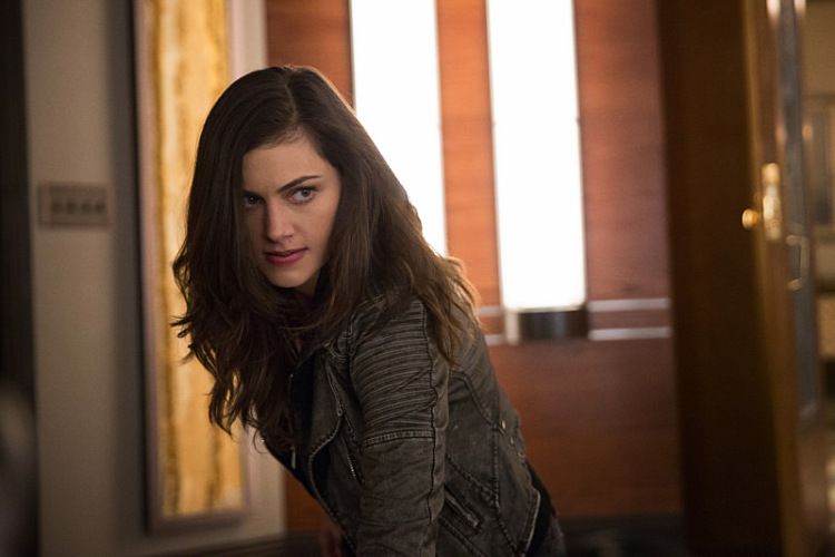 Foto de Phoebe Tonkin Foto Phoebe Tonkin Foto de Phoebe Tonkin Foto Phoebe Tonkin