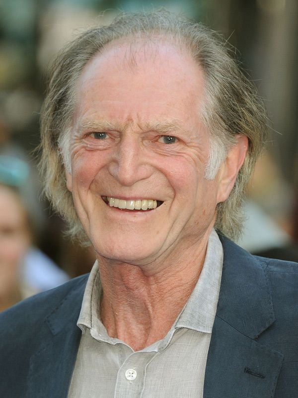 David bradley online tudors