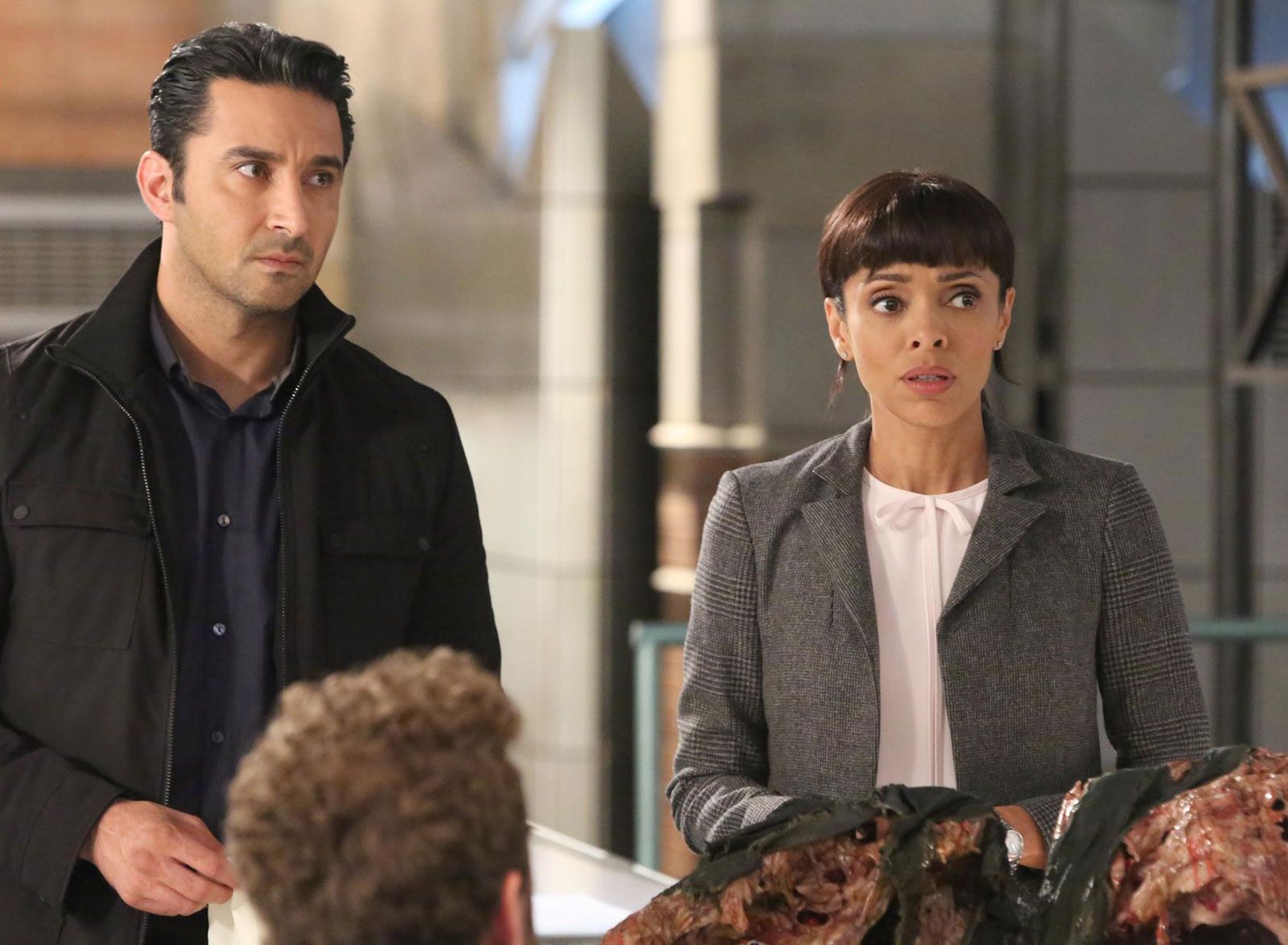 Bones Bones Foto Pej Vahdat, Tamara Taylor Foto 10 sobre 783