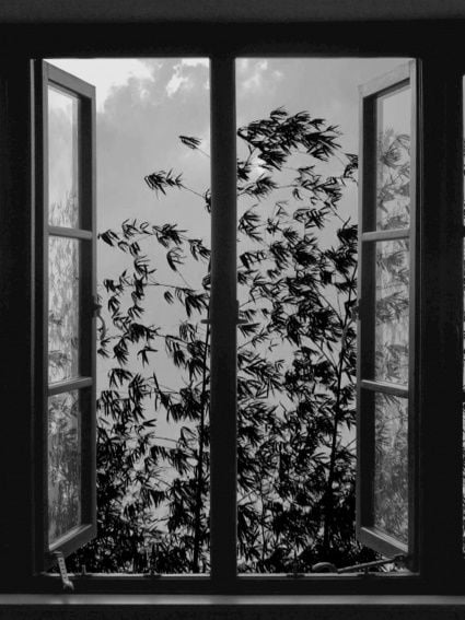 24 Frames - Documental 2016