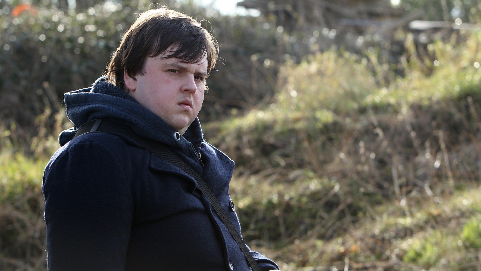 film e programmi tv di john bradley