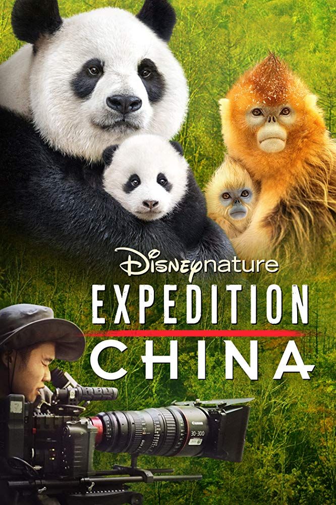Disneynature. Expedición. China. - Documental 2017