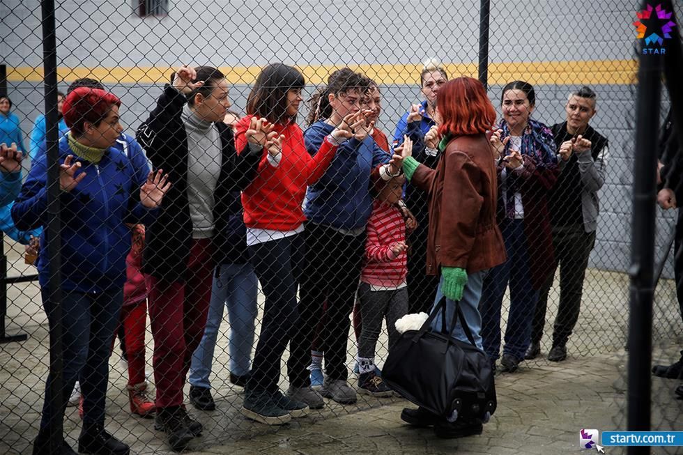 Avlu El patio Avlu El patio Foto Foto 67 sobre 265