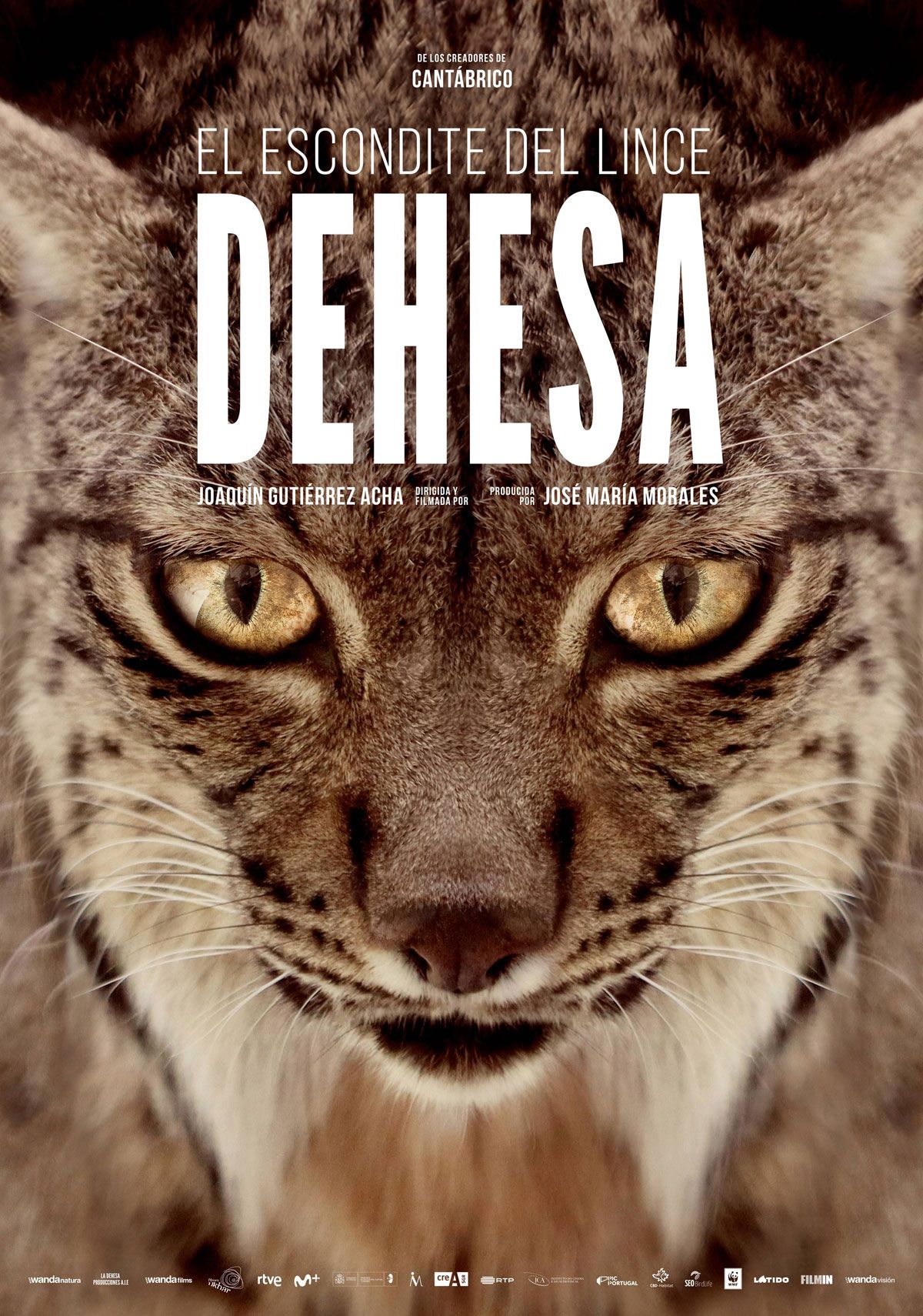 Dehesa, el escondite del lince - Documental 2019
