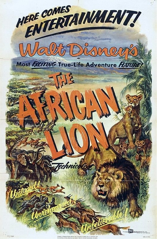 El León Africano - Documental 1955