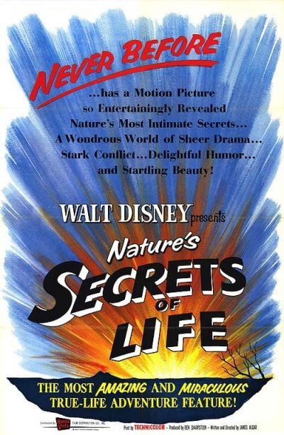Secretos de la vida - Cortometraje