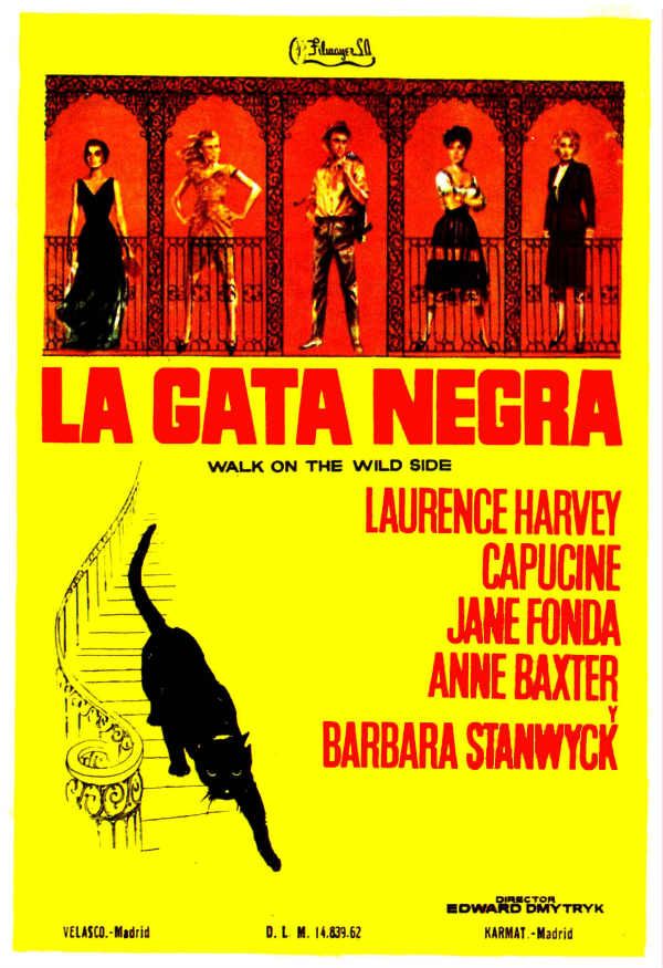 La gata negra - Película 1962