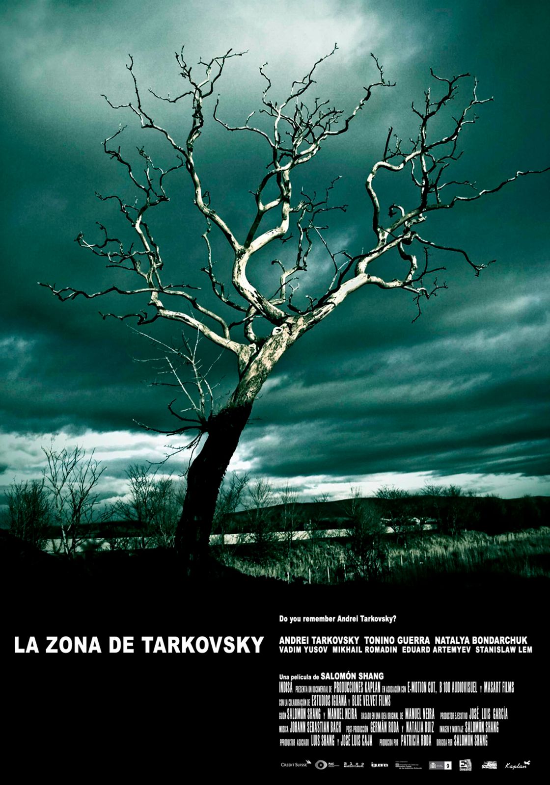 La zona de Tarkovsky - Película 2008