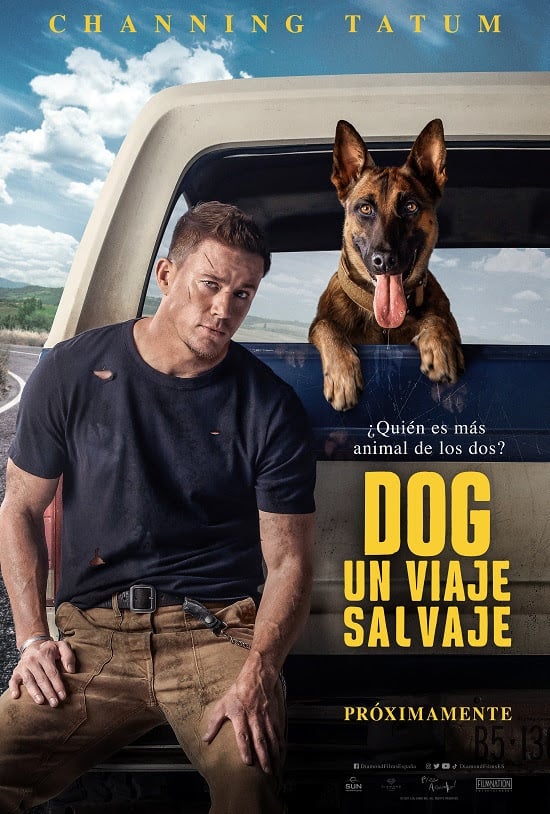 Dog. Un viaje salvaje - Película 2022 - SensaCine.com