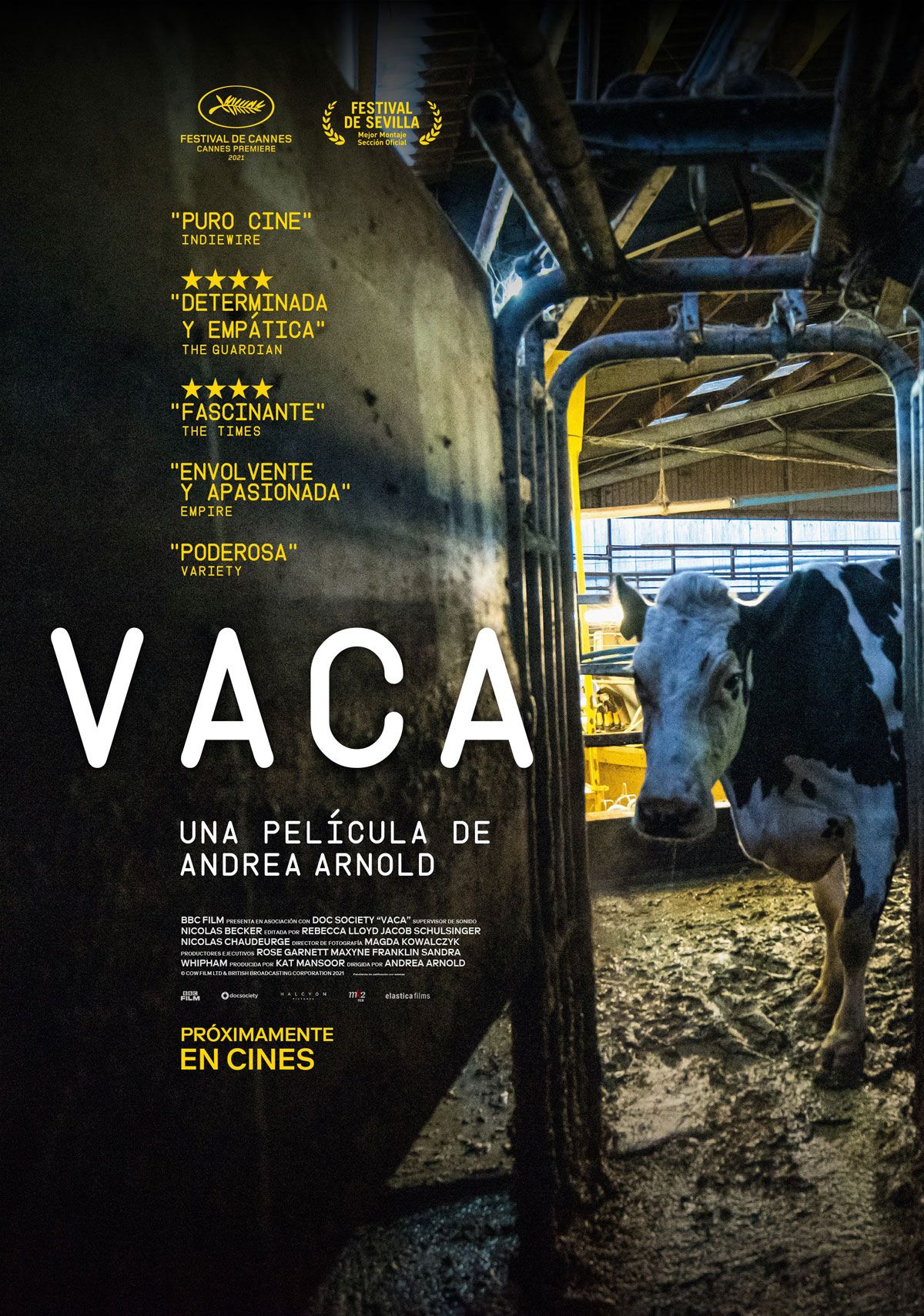 Vaca - Documental 2021